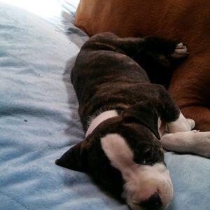 Meet your Posher, Laura